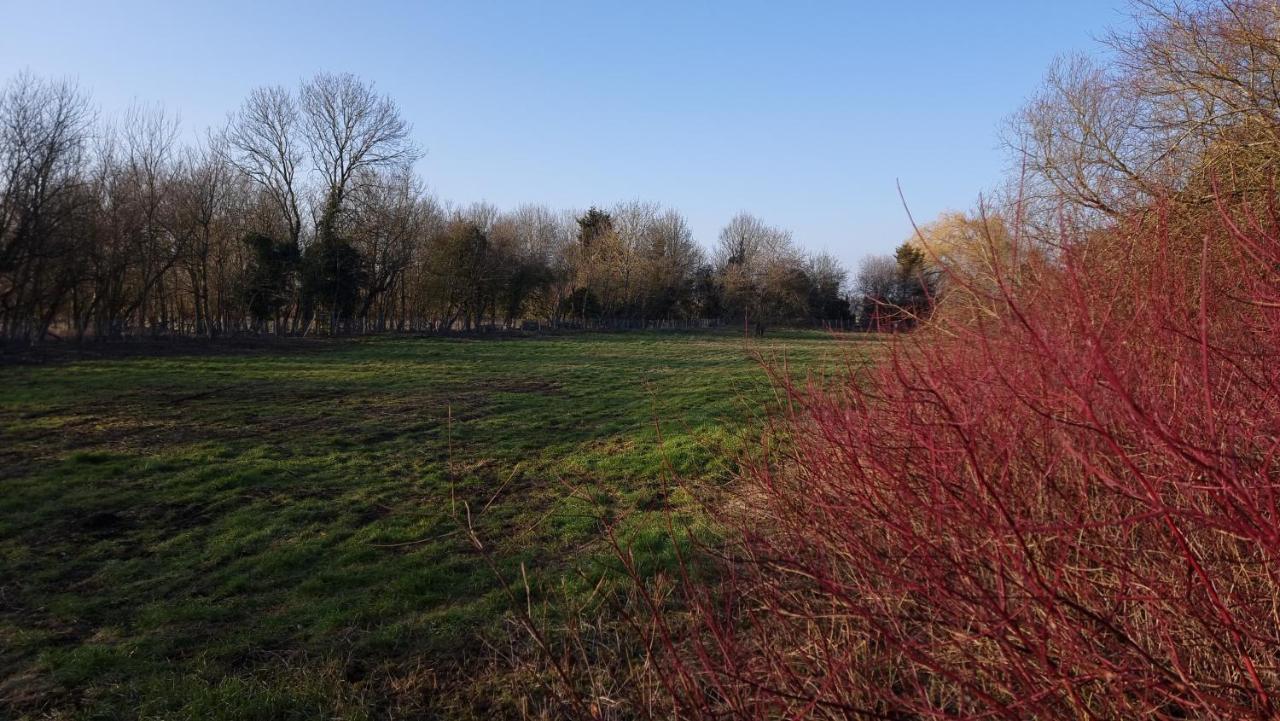West Farm Cottage Godmanchester Esterno foto